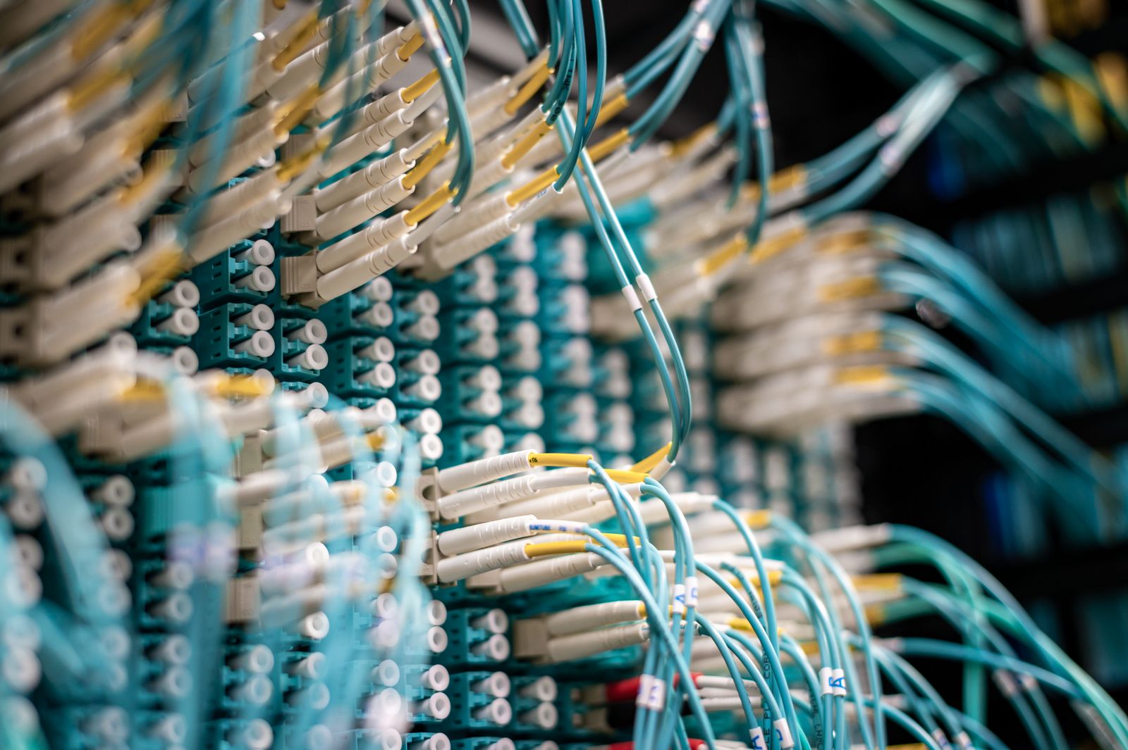 Dozens of fibre patch cords converging into one dense optical patch panel